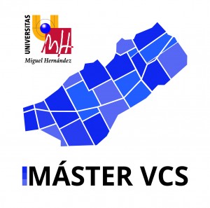 Logo Master VCS
