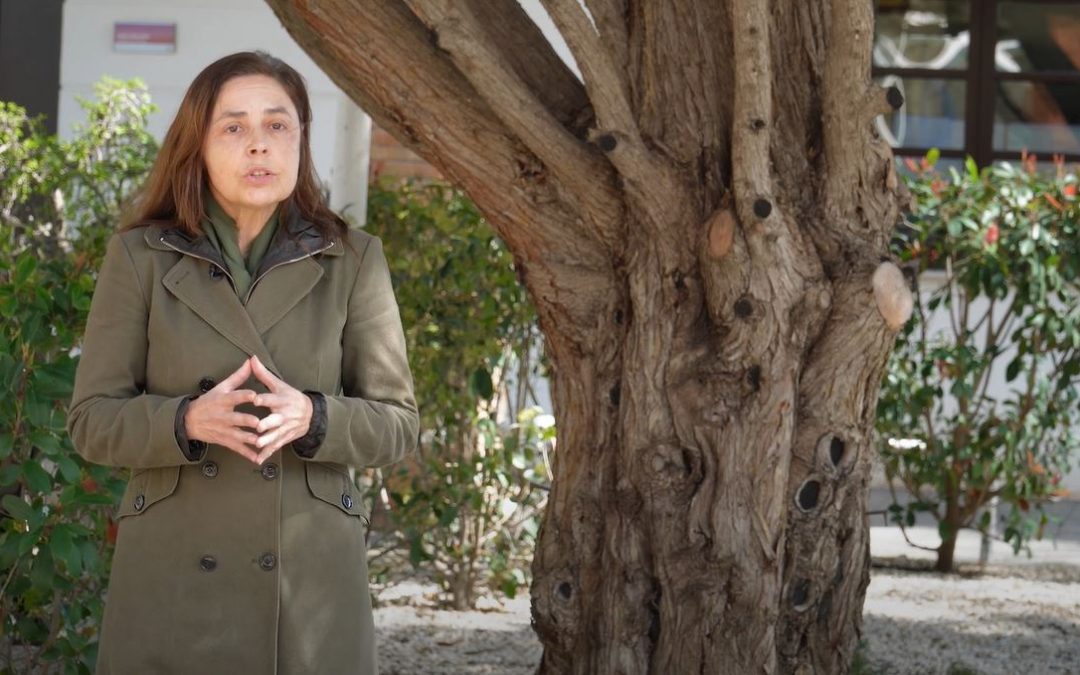 Descubre el Máster en Valoración, Catastro y Sistemas de Información Territorial de la UMH con la profesora Amparo Melián